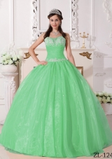Elegant Quinceanera Dress in Apple Green Ball Gown with Appliques