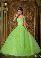 Princess Strapless Organza 2014 Quinceanera Dresses with Appliques