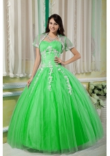 Prettty Sweetheart Quinceanera Gowns with Appliques