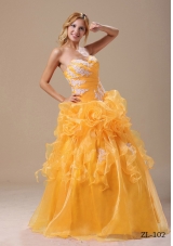 Gold Affordable Princess Appliques For 2014 Quinceanera Dresses