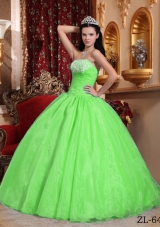 2014 Spring Green Puffy Strapless Appliques Quinceanera Dress with Beading