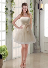 Simple Ruching Strapless Princess  Prom Dress with Bowknot