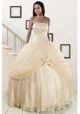 Elegant Appliques and Hand Made Flower Champagne Quince Dresses