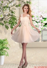 Suitable V Neck Appliques Prom Dresses in Champagne