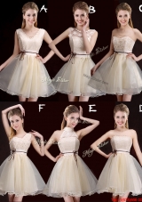 Discount Belted Champagne Short Prom Dress in Organza for 2017