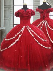 Sophisticated Tulle Sleeveless Quinceanera Gowns Brush Train and Appliques and Pick Ups