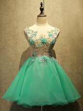 Unique Scoop Sleeveless Prom Dresses Mini Length Embroidery Green Organza