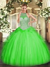 Ball Gowns Sweet 16 Dress Halter Top Tulle Sleeveless Floor Length Lace Up