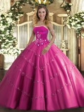 Wonderful Hot Pink Strapless Neckline Beading and Appliques Quinceanera Gowns Sleeveless Lace Up