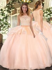 Peach Ball Gowns Lace Quinceanera Gown Clasp Handle Organza Sleeveless Floor Length