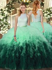Floor Length Multi-color Ball Gown Prom Dress Tulle Sleeveless Ruffles