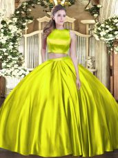 Captivating Ball Gowns Sweet 16 Dress Olive Green High-neck Tulle Sleeveless Floor Length Criss Cross