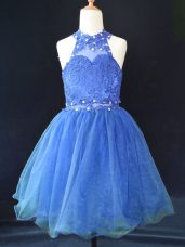 Mini Length A-line Sleeveless Blue Flower Girl Dresses for Less Lace Up
