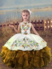 Fancy Organza Sleeveless Floor Length Glitz Pageant Dress and Embroidery and Ruffles
