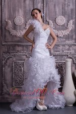 Gorgeous One Shoulder High-low Wedding Dress Organza