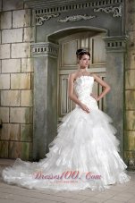 Organza Layers Strapless A-line Chapel Train Wedding Gown