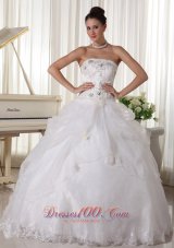 Beaded Pick-ups Ball Gown Bridal Gown Strapless Organza