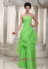 Cute Green Empire Prom Dress Organza Appliques