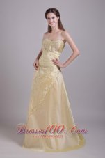 A-Line Champagne Taffeta Brush Train Prom Evening Dress
