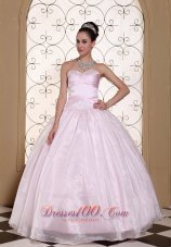 Baby Pink Organza Quinceanera Dress Beaded Decorate