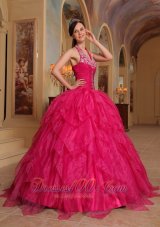 Organza Embroidery Halter Hot Pink Sweet sixteen Dresses