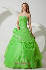 Spring Green Embroidery Floor-length Sweet 16 Dress