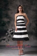 Black and White A-line Strapless Bridesmaid Dama Dress