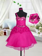 Most Popular Pick Ups Straps Sleeveless Lace Up Little Girls Pageant Gowns Apple Green Organza